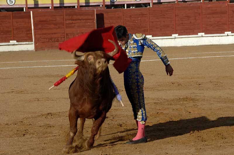 Mario Palacios y Alejandro Gardel salen a hombros de las Cruces de Sigüenza
