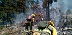 La Brif acaba con un conato de incendio en la Mogorrita 2 Se ha declarado un conato de incendio en la Serranía de Cuenca