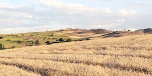 Unión de Uniones reclama a las Comunidades Autónomas que apliquen el anticipo PAC en toda su amplitud