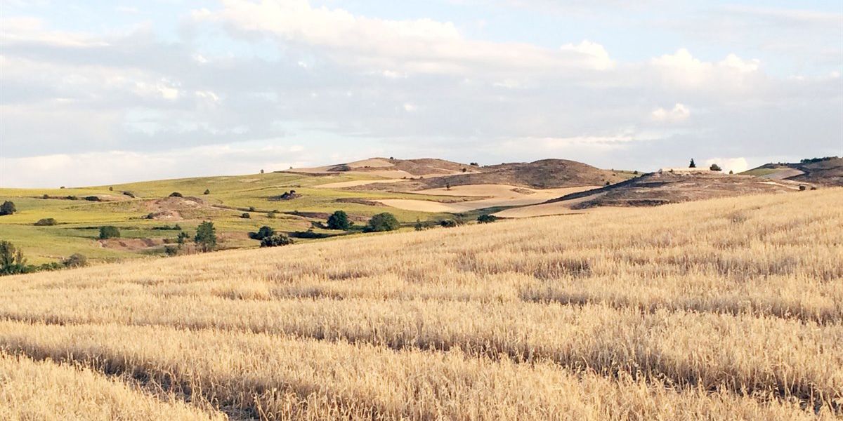 Unión de Uniones reclama a las Comunidades Autónomas que apliquen el anticipo PAC en toda su amplitud