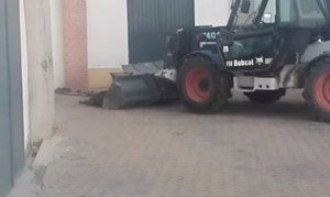 Colectivo contra el maltrato animal sigue recogiendo firmas tras las fiestas de Motilla del Palancar
