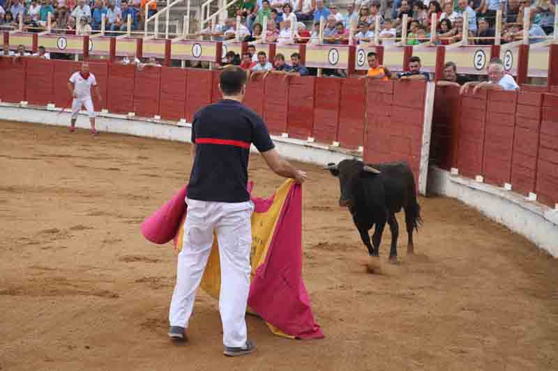 Éxito de participación y público en la Becerrada para las peñas seguntinas