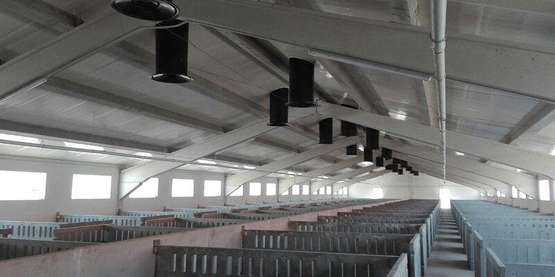 CEOE-Cepyme Cuenca pide que se permita operar a las granjas de porcino que cumplan los requisitos