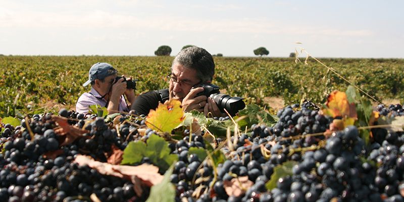 Casa Gualda celebra el I Certamen Fotográfico “Vino y Vendimia”