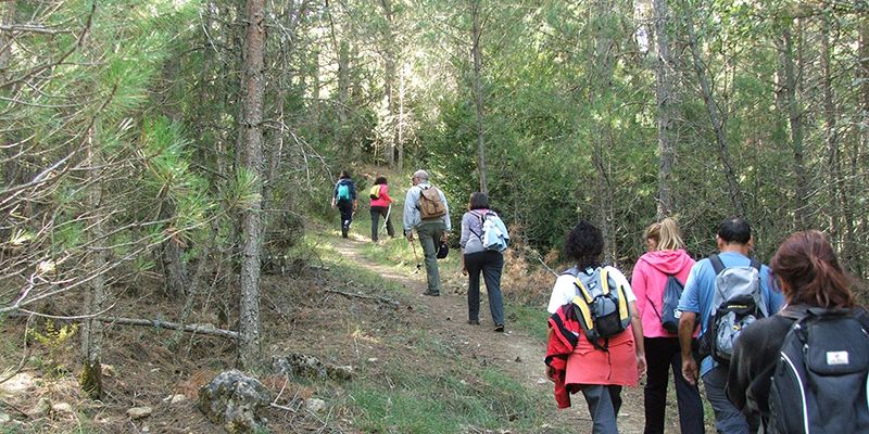 Cerca de 60 participantes disfrutaron de La Serranía en el regreso en otoño del Campus Diputación de Cuenca de Senderismo