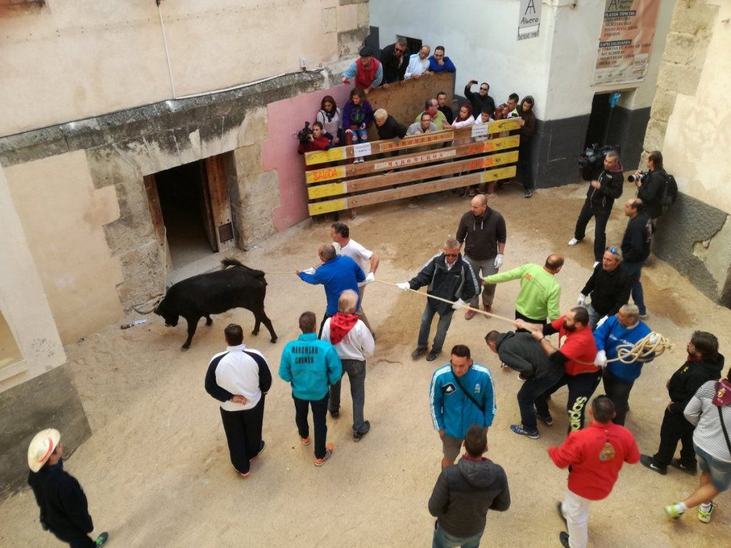 Cruz Roja atiende a 17 personas en el segundo día de San Mateo, uno con un traumatismo craneoencefálico