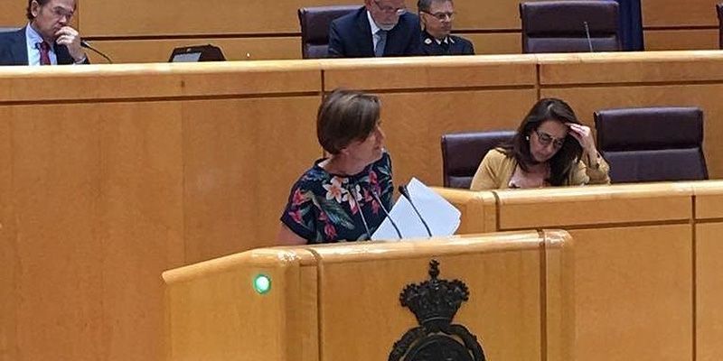 El GPP pide al Gobierno que refuerce las medidas para frenar el fracaso escolar en la población desfavorecida