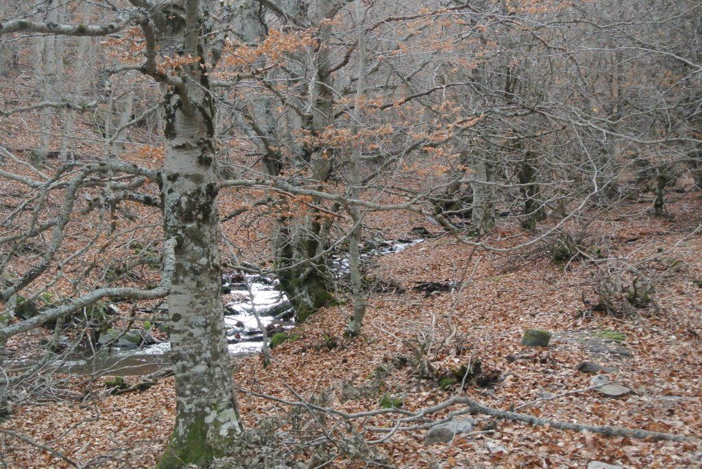 El otoño será cálido en Castilla-La Mancha y traerá tormentas