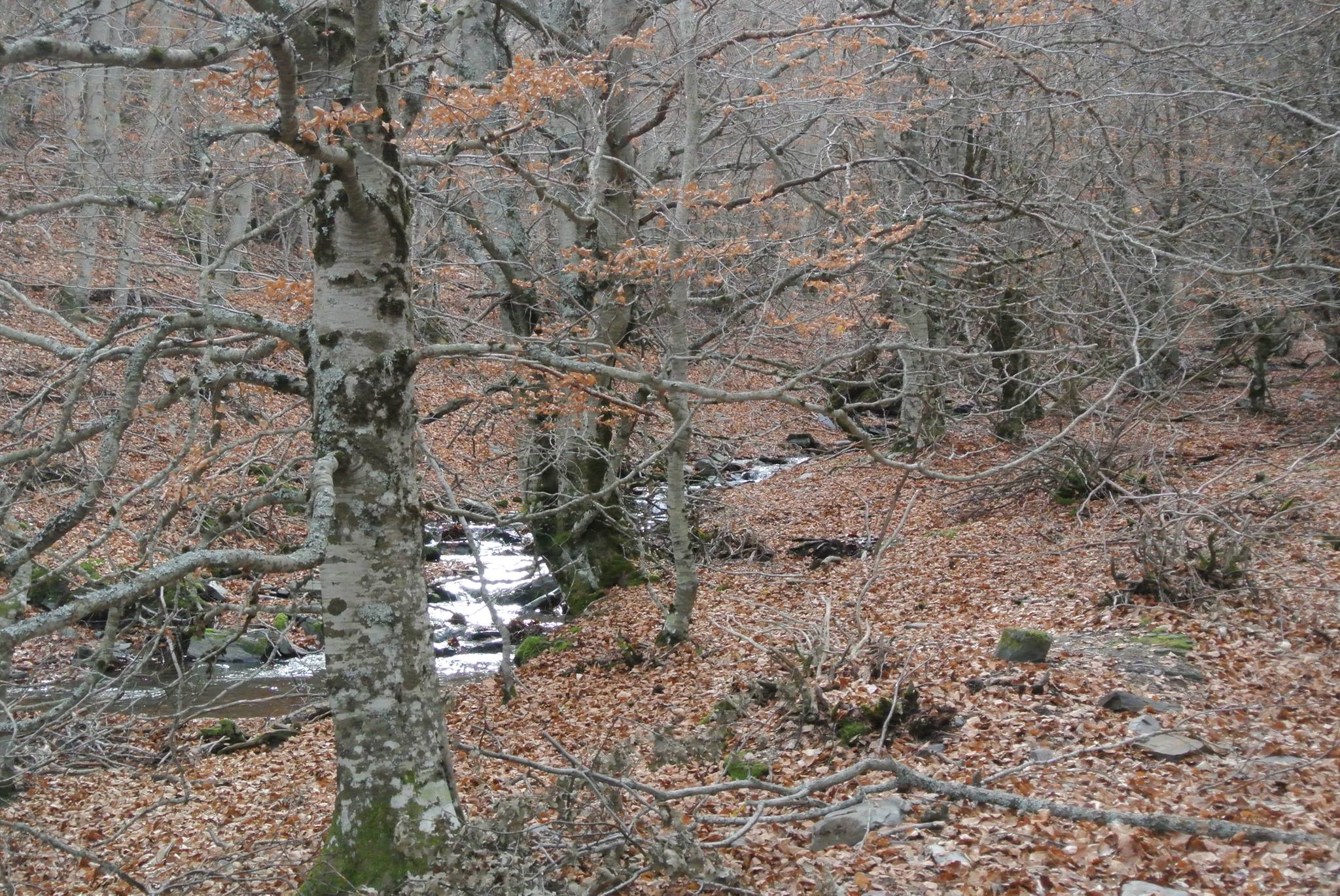 El otoño será cálido en Castilla-La Mancha y traerá tormentas
