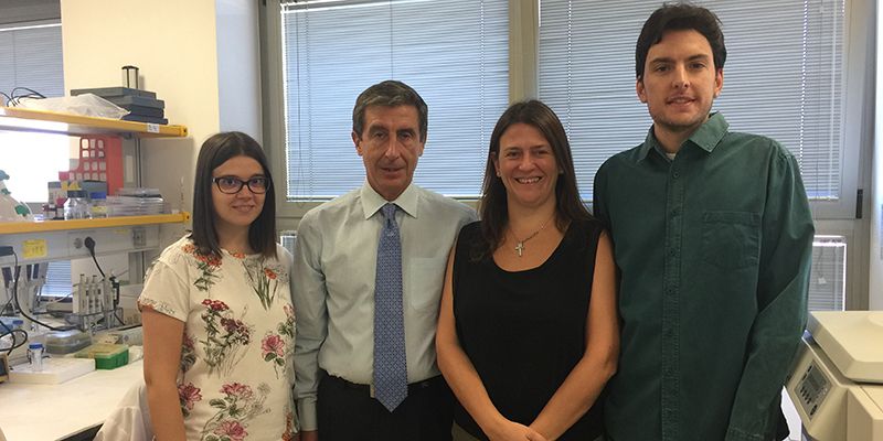 Investigadores de la UCLM descubren una nanopartícula antiinflamatoria que podría utilizarse en enfermedades como la esclerosis múltiple