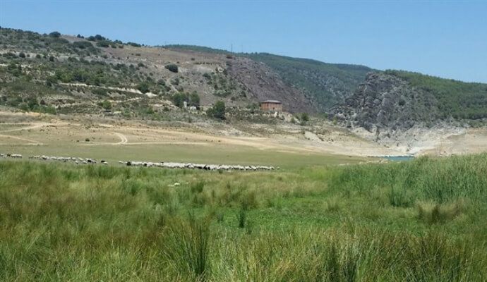 La cabecera del Tajo está cerca de secarse completamente
