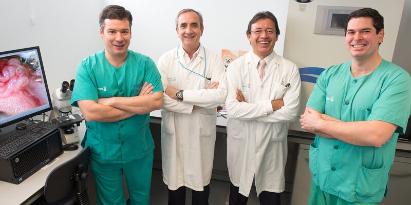 Parapléjicos consigue más fondos para estudiar la fibrosis que impide la reconexión neuronal