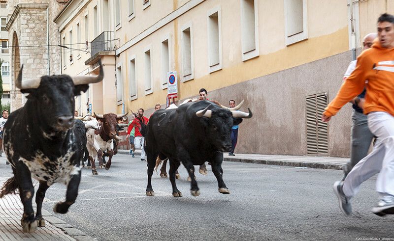El primer encierro de las Ferias de Guadalajara, limpio y sin heridos