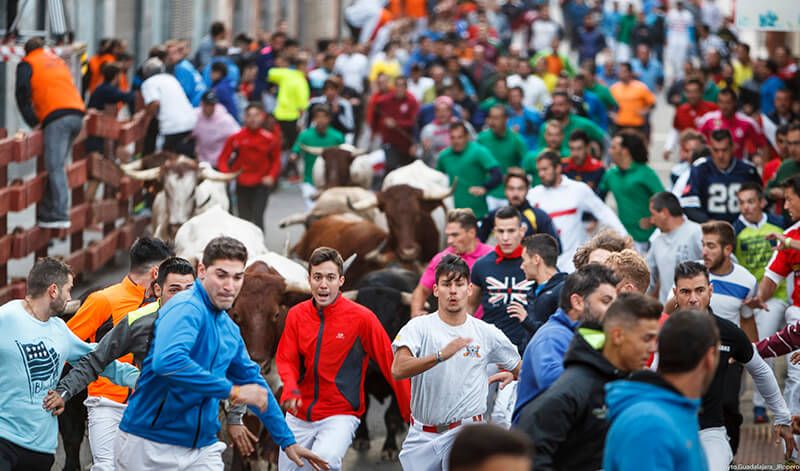 El tercer encierro de Guadalajara se salda con un herido por asta de toro y dos por caídas