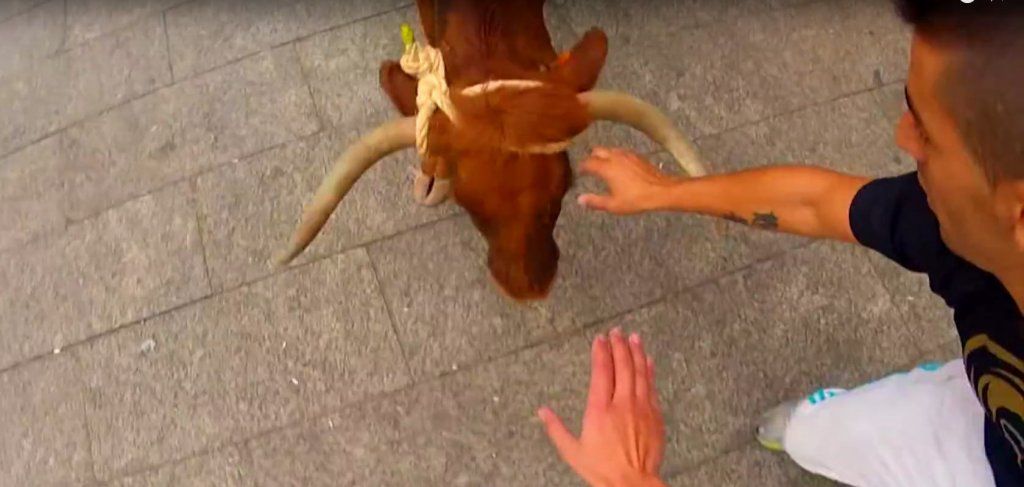 vaca b | Liberal de Castilla