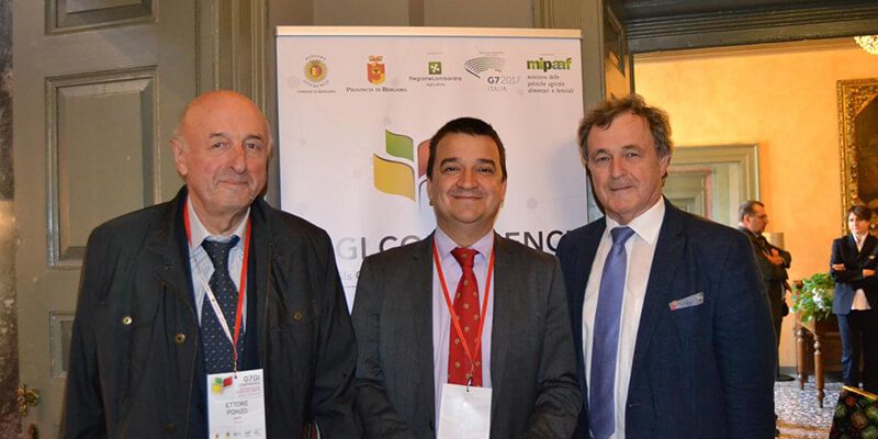 Castilla-La Mancha finaliza el año vitícola con 33,8 millones abonados en la reestructuración de 7.539 hectáreas de viñedo