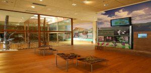 El Gobierno regional ofrece a los centros educativos visitas guiadas para conocer los espacios naturales de la provincia de Guadalajara