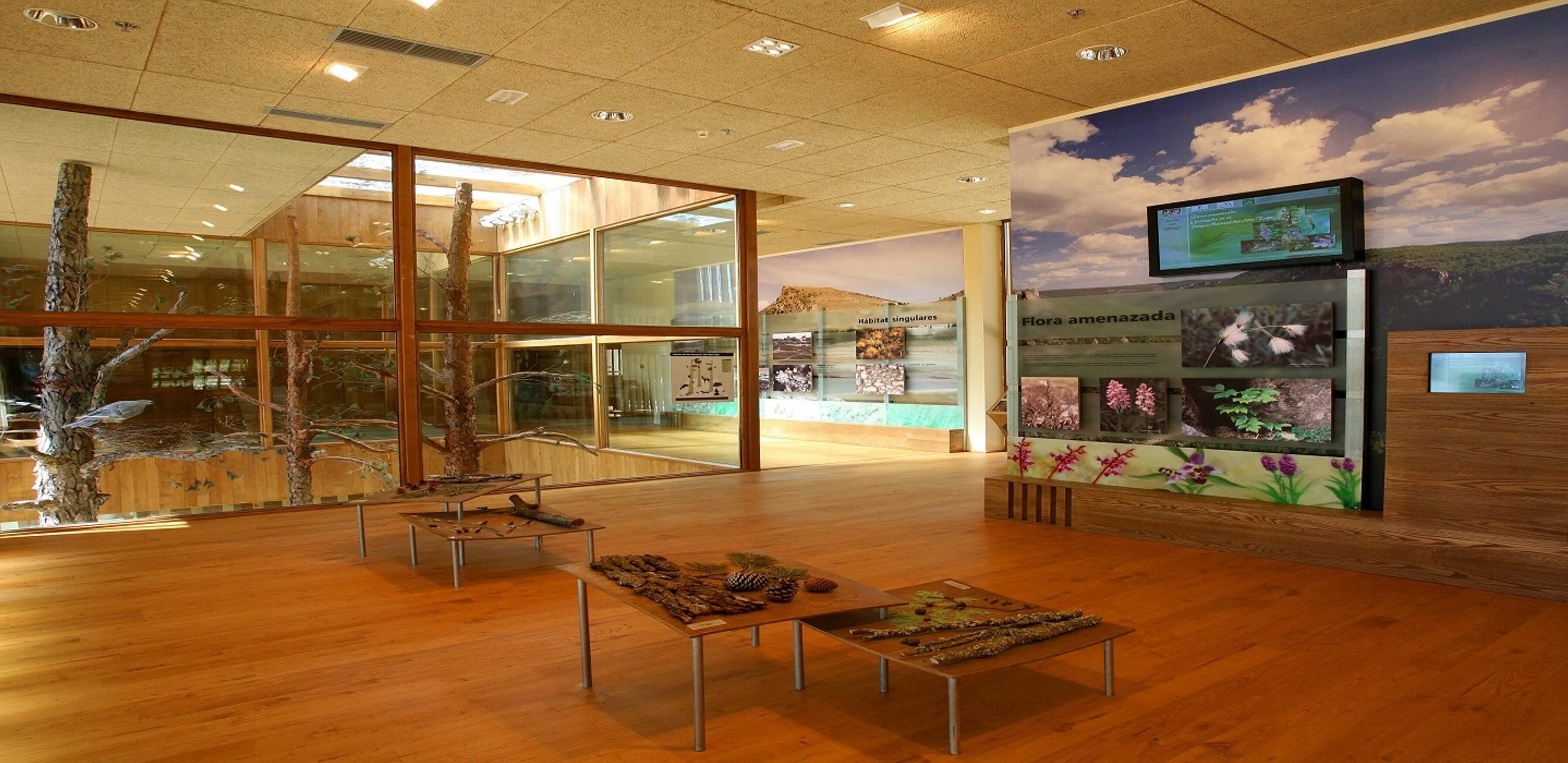 El Gobierno regional ofrece a los centros educativos visitas guiadas para conocer los espacios naturales de la provincia de Guadalajara