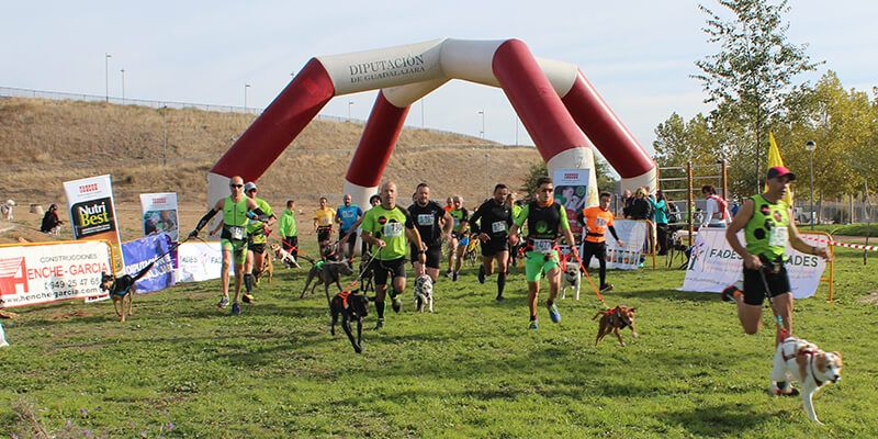 Comienza el IX Circuito Provincial Diputación de Guadalajara de Canicross con gran participación en Yebes-Valdeluz