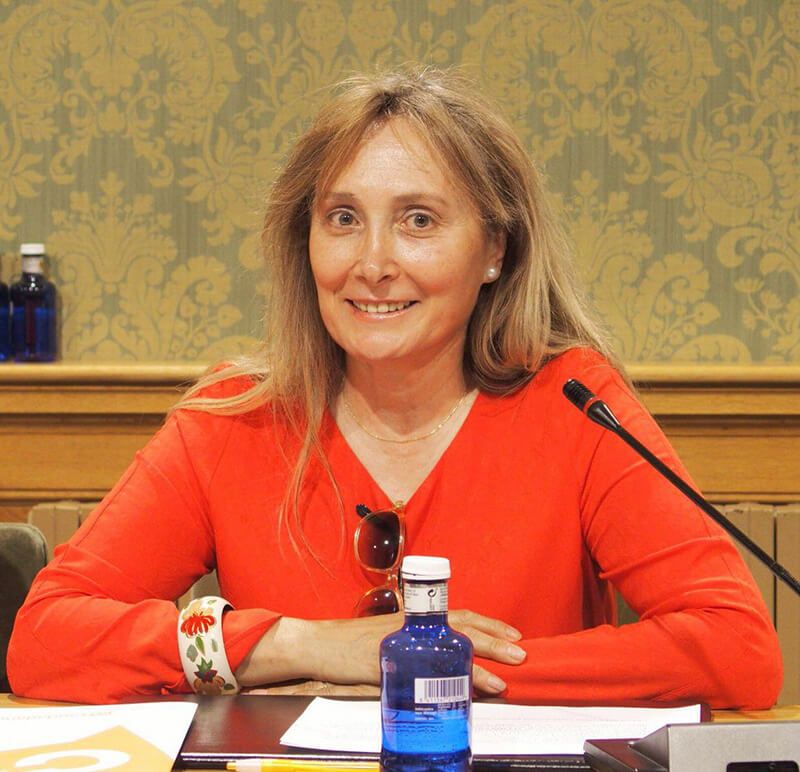 Cs Cuenca aboga por un pacto interinstitucional para sacar adelante el proyecto de los remontes mecánicos