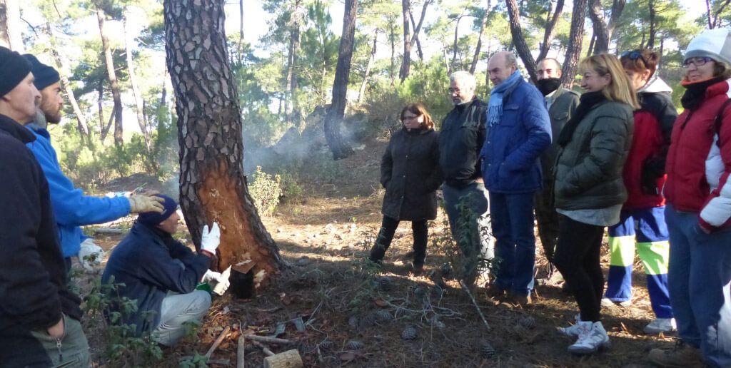 Enjuto pone en valor el trabajo de los resineros para los que la Diputación ha convocado ayudas por primera vez
