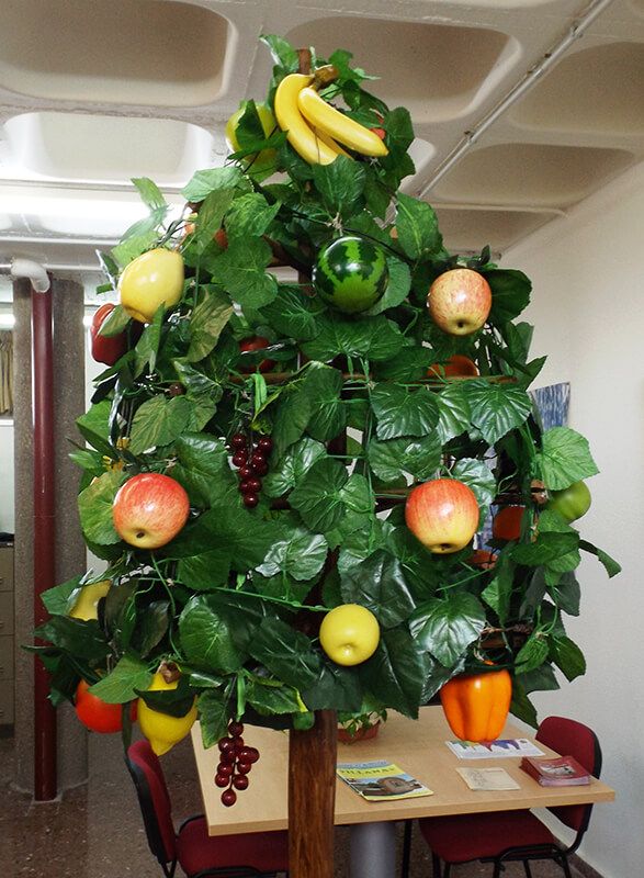 Exposición de El Ramo de Robledo de Corpes en la Posada del Cordón de Atienza