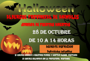 El Albergue Provincial de animales de Cuenca