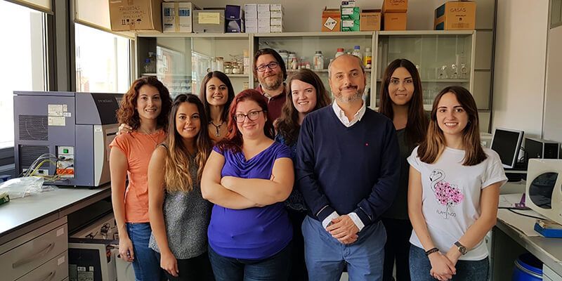 Investigadores de la UCLM y del CHUA demuestran cómo la combinación de dos fármacos mejora el tratamiento del cáncer de ovario