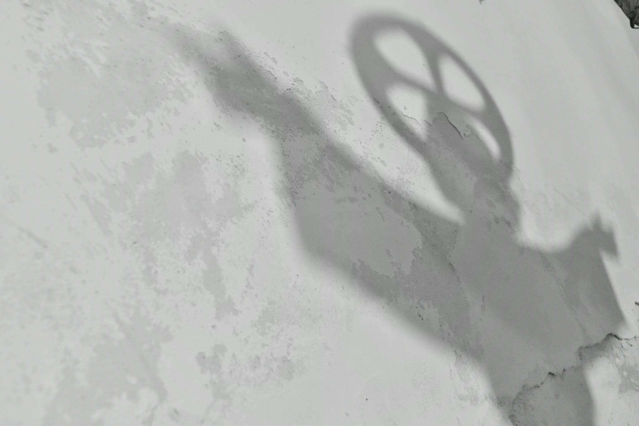 Mar Sanz Bernal gana el V Rally Fotográfico Villa de Atanzón