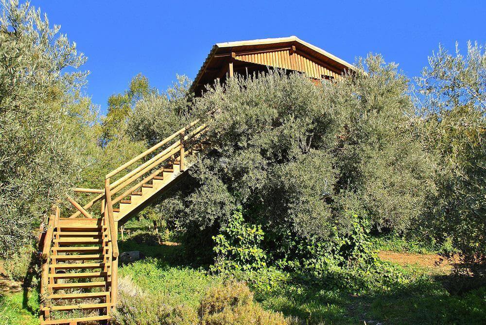 Valdenoches, Sigüenza, Majaelrayo, Molinos de Papel o Villanueva de la Jara, entre los destinos preferidos por los turistas rurales este otoño 3 Valdenoches, Sigüenza, Majaelrayo, Molinos de Papel o Villanueva de la Jara, entre los destinos preferidos por los turistas rurales