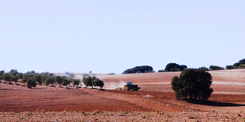 ASAJA Cuenca recuerda a los agricultores la importancia de contratar el seguro agrario ante la grave situación meteorológica que estamos sufriendo