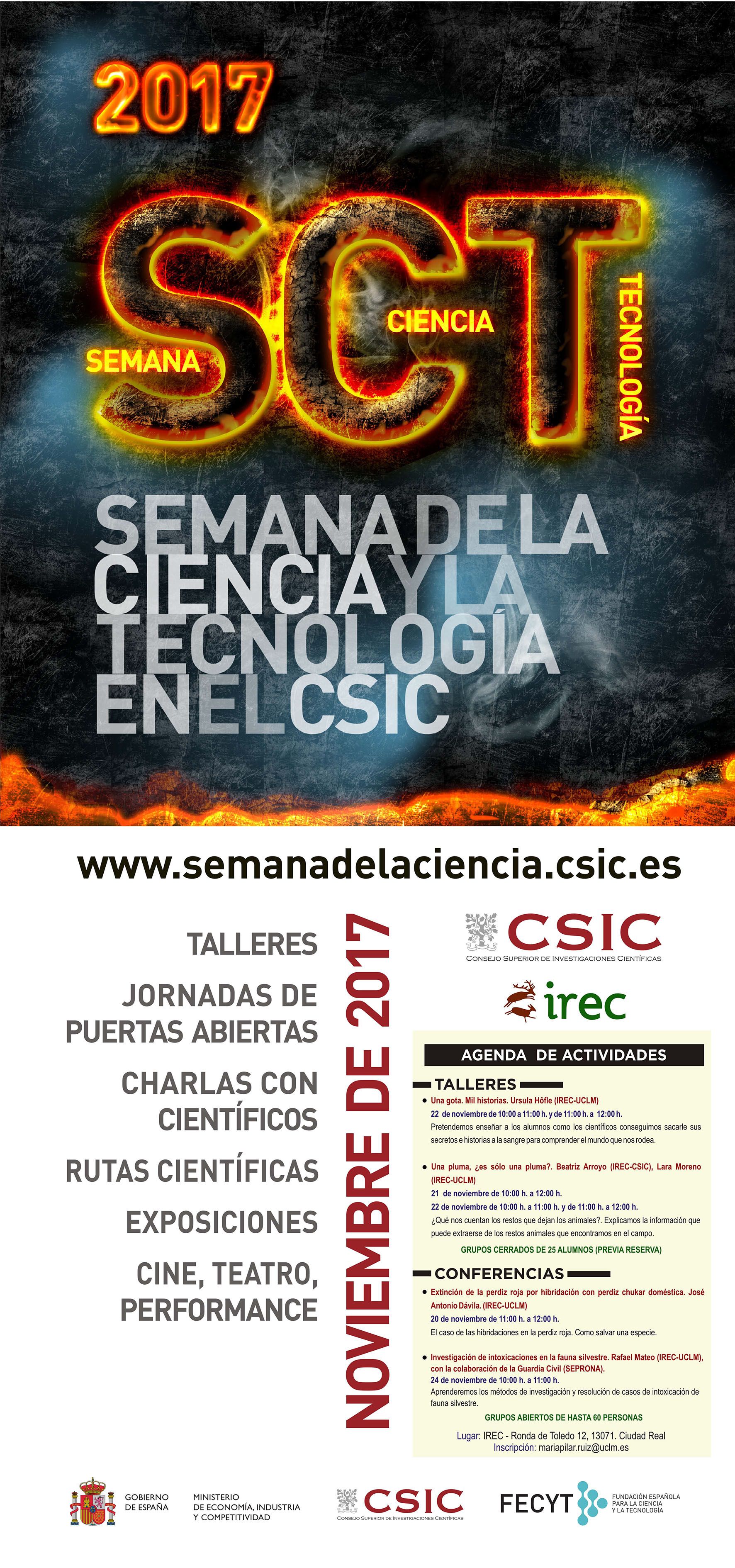 El IREC programa talleres y conferencias para celebrar la Semana de la Ciencia del 20 al 24 de noviembre