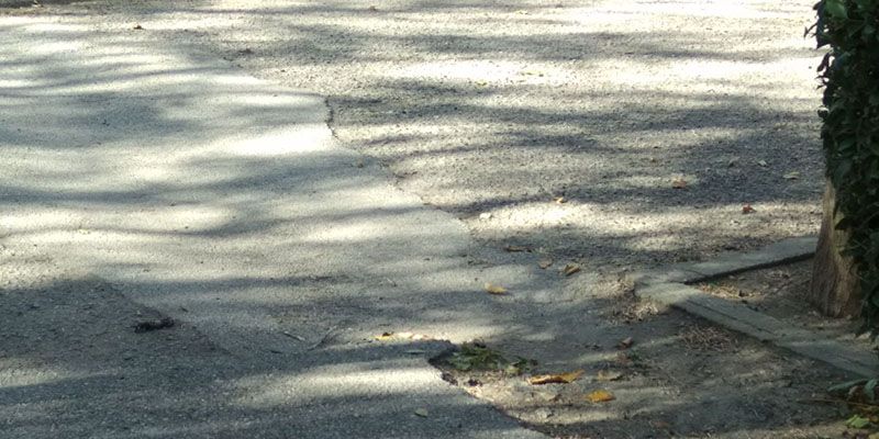 El PSOE denuncia el estado de “abandono y dejadez” del Parque del Huécar