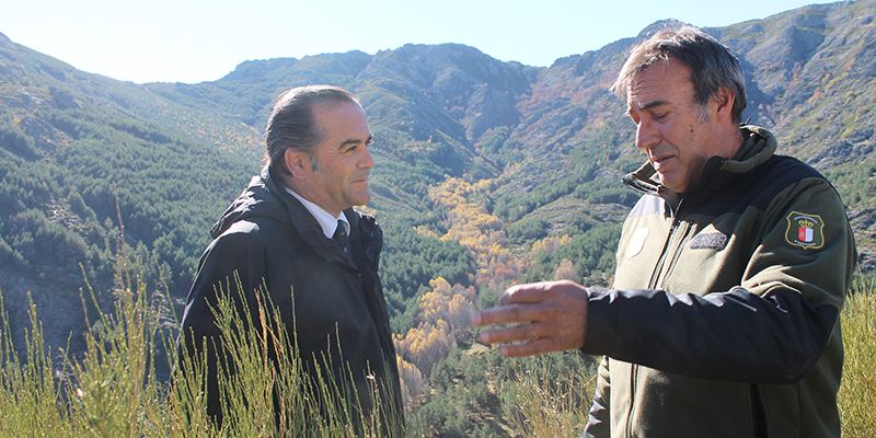 gregorio-agradece-al-ministerio-de-cultura-su-trabajo-para-que-el-hayedo-de-tejera-negra-entre-en-la-lista-de-patrimonio-mundial-de-la-unesco