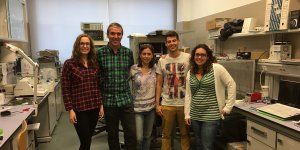 investigadores-de-la-uclm-logran-contrarrestar-los-deficits-funcionales-en-el-alzheimer-en-ratones