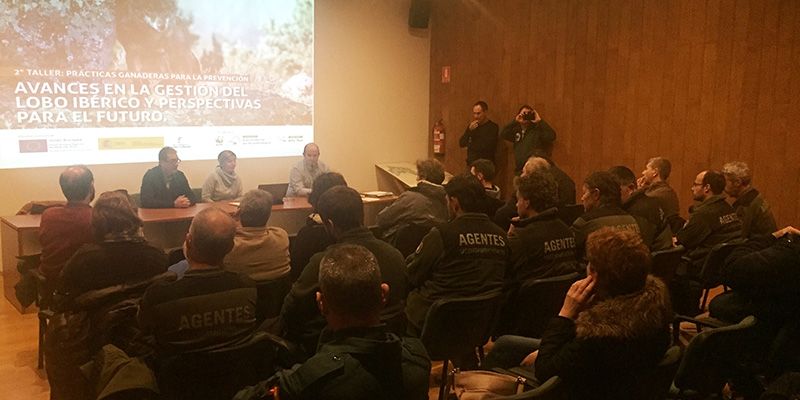 La Junta informa a ganaderos de Guadalajara sobre las medidas preventivas y las ayudas para los ataques de lobos al ganado