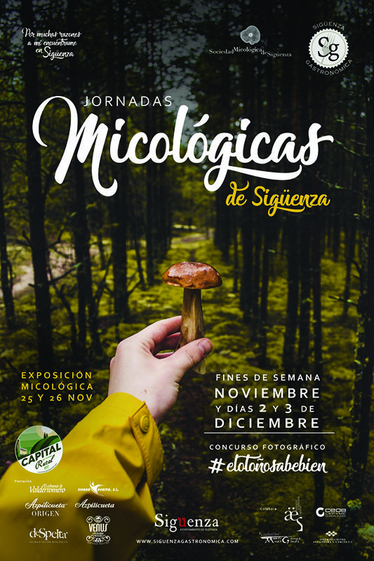 Llega la II Edición de las Jornadas Micológicas de Sigüenza