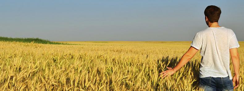 Merino “La incorporación de jóvenes a la actividad agraria es otra de las grandes mentiras del Gobierno de Page y Podemos