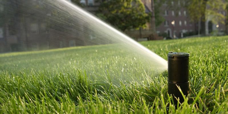 Yebes instalará un sistema informático en la red de riego de los parques que ahorrará un 30% de agua