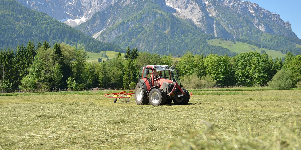 Balance Agrario 2017 Castilla-La Mancha: Cosechas cortas, bajos precios, polémicas, anuncios… y conejos.
