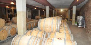 CEOE Cuenca destaca que las exportaciones crecerán un 50% en la industria agroalimentaria