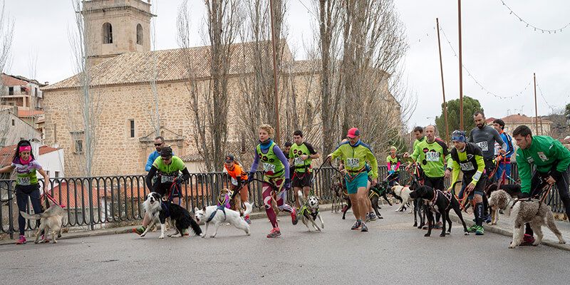 El Club Canicross celebra con gran acogida el I Canitrail de Trillo