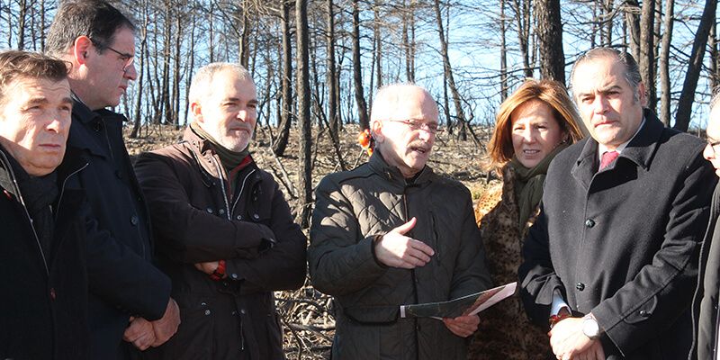 El Gobierno central invertirá 206.000 euros para restaurar la zona del incendio forestal de Campillo de Altobuey