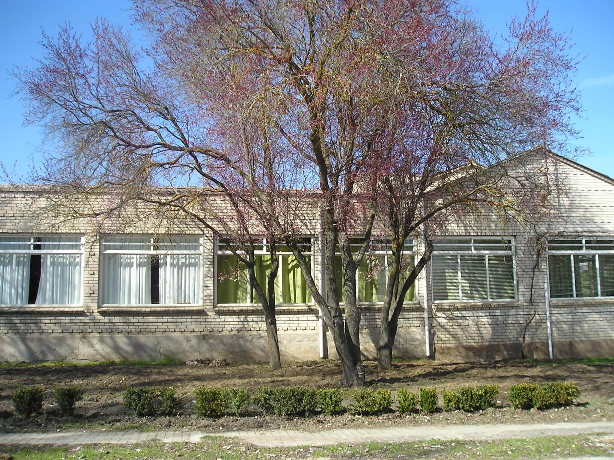 El PP alerta sobre el cierre inminente y definitivo de la residencia de estudiantes del Pedro Mercedes ubicada en Albaladejito 3 El PP alerta sobre el cierre inminente y definitivo de la residencia de estudiantes del Pedro Mercedes ubicada en Albaladejito