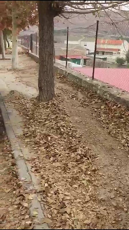 El PP denuncia el estado “deplorable” de varias calles de Barajas de Melo