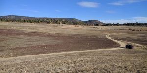 Entrepeñas y Buendía despiden el nefasto 2017 a menos del 9,5% de su capacidad
