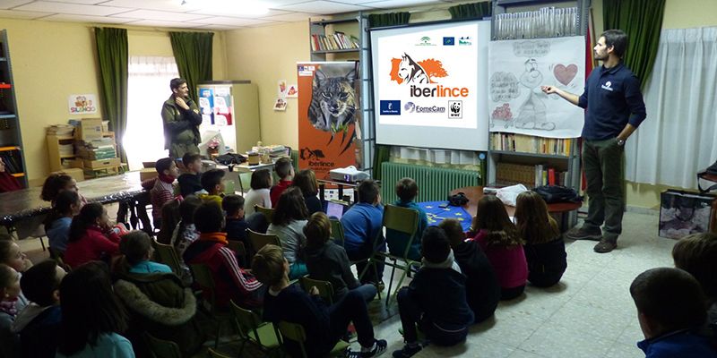 Escolares de CLM conocen la importancia de conservar el lince ibérico