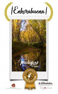 Eva Bravo López gana el I Concurso Fotográfico #ElOtoñoSabeBien de Sigüenza