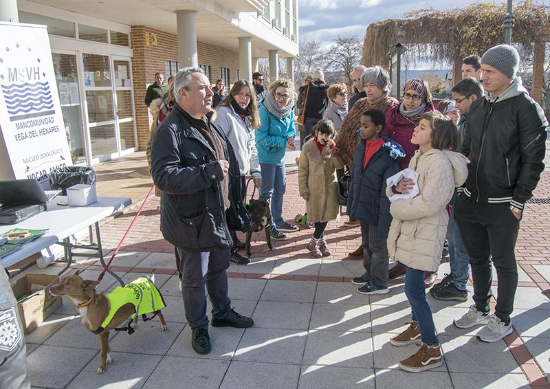 Hogar Amigo se presenta ante los cabanilleros en una charla explicativa con presencia de sus voluntarias y cuatro perros en adopción