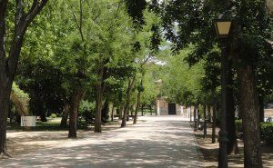 Incidencias en Guadalajara provocadas por los fuertes vientos